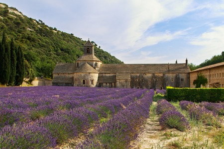 Abbey of Senanque with lavender field in Provence, Franceの写真素材