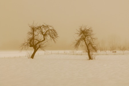 Snowy mountain landscape with the Julian Alps in Sloveniaの写真素材