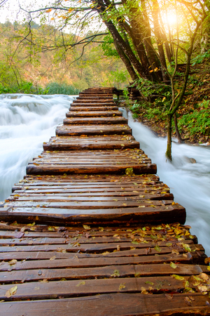 Wood path in the Plitvice national park in Croatiaの写真素材