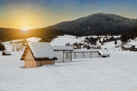 Cosy winter scene with snow-covered trees in the mountains in Sloveniaの写真素材