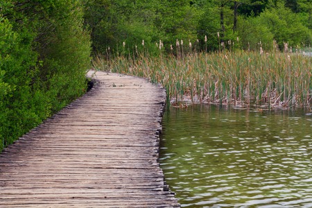 Wood path in the Plitvice national park in Croatiaの写真素材