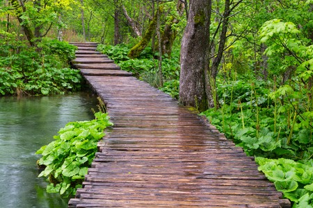 Wood path in the Plitvice national park in Croatiaの写真素材