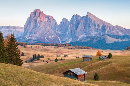 Mountain meadow and house Alpe di Siusi or Seiser Alm in the background Langkofel mountain range at...