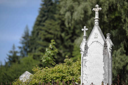 Blank antique gravestone の写真素材