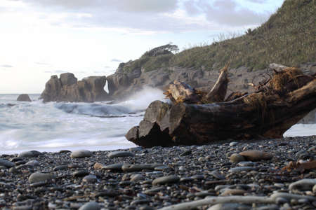Coast of New Zealandの写真素材