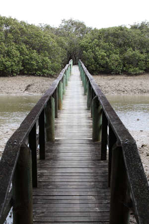 Pathの写真素材