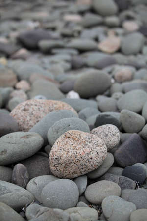 Pebblesの写真素材