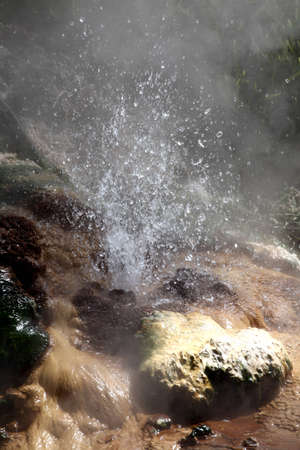 Waimangu valley geothermal area, New Zealandの写真素材