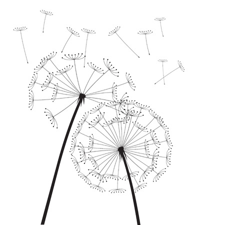 Black vector dandelionsのイラスト素材