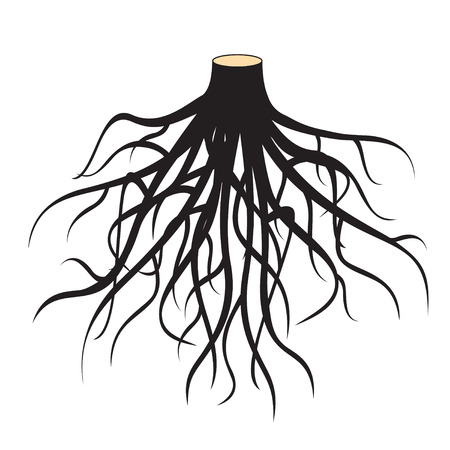 Vector tree with roots.のイラスト素材