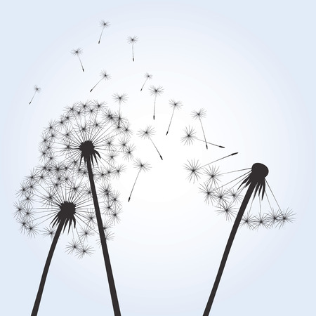 Black dandelions on blue backgroundのイラスト素材