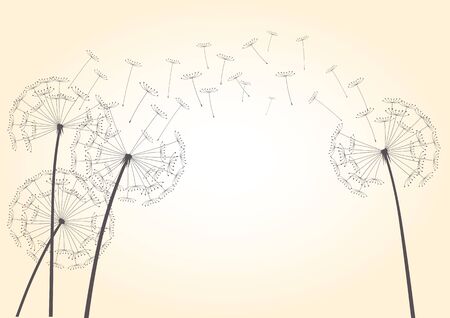 Illustration of Dandelions and Light.のイラスト素材