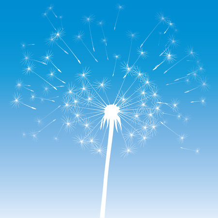 Illustration of Dandelions and Light.のイラスト素材