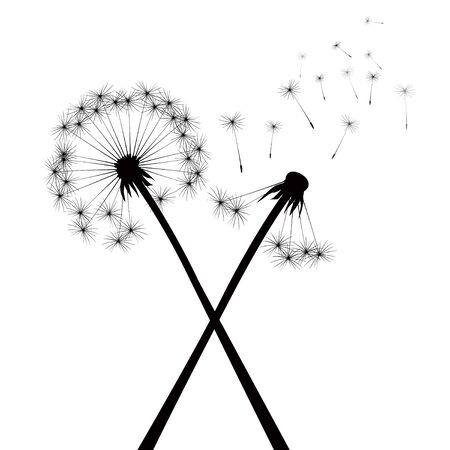 Black vector dandelionsのイラスト素材