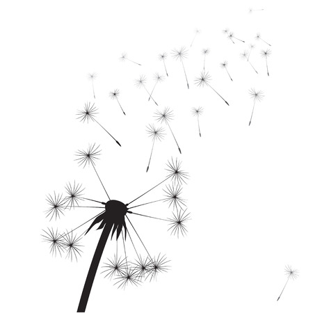 Black vector dandelionのイラスト素材