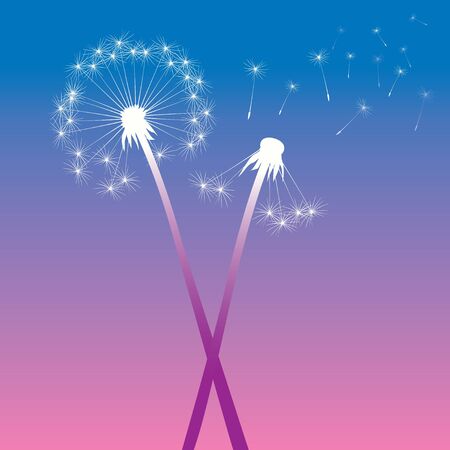 Color vector Dandelionsのイラスト素材