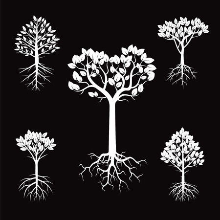 Set of white Trees with Leafs and Roots. Vector Illustration.のイラスト素材
