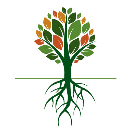 Green Tree and Roots.のイラスト素材