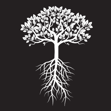 White Tree and Roots. Vector Illustration.のイラスト素材