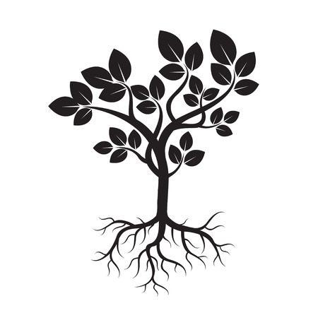 Black Tree and Roots. Vector Illustrationのイラスト素材