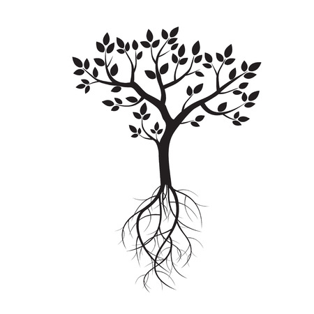Black Tree and Roots.のイラスト素材