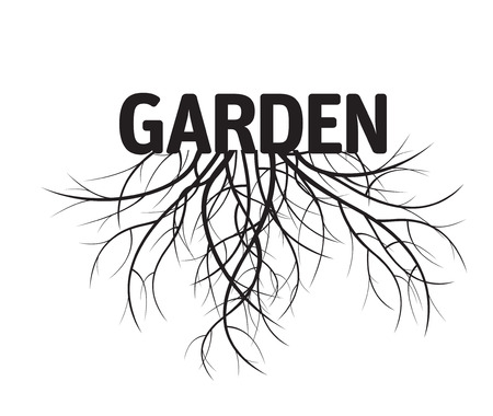 Roots and Garden. Vector Illustration.のイラスト素材