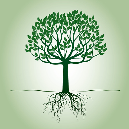 Green Tree with Roots. Vector Illustration and graphic design.のイラスト素材