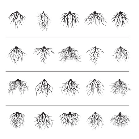 Set of black roots. Vector Illustration.のイラスト素材