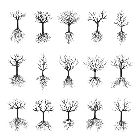 Set black Trees with Roots. Vector Illustrationのイラスト素材