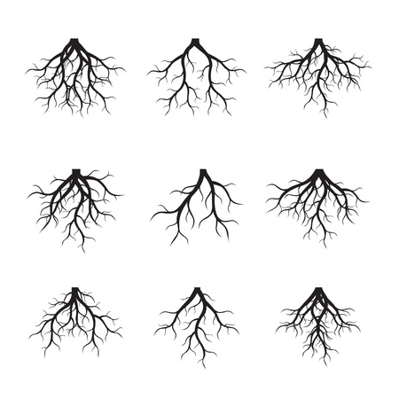 Set of black tree Roots. Vector Illustrationのイラスト素材