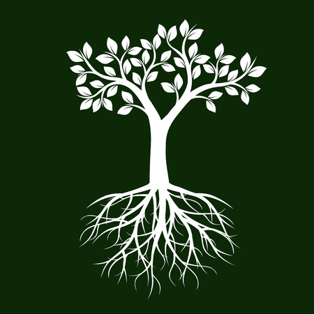 White Tree with Leaves and Roots. Vector Illustration.のイラスト素材