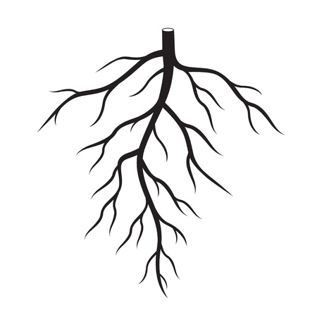 Shape of black Roots Tree.のイラスト素材