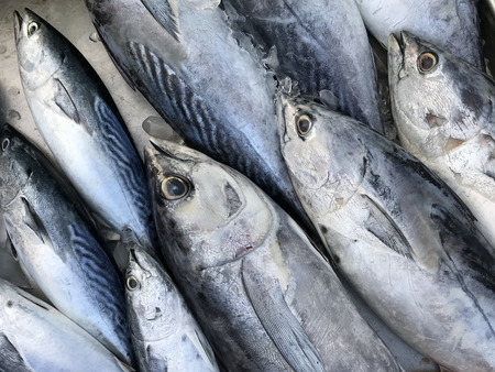 Fresh fish on the table. Street market on the island of Phuket in Thailand.