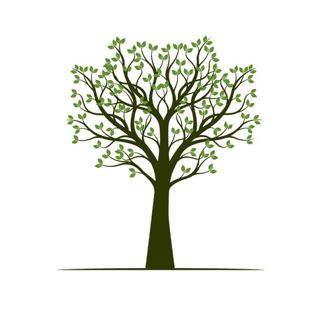 Green Spring Tree. Vector Illustration. Plant in garden.のイラスト素材