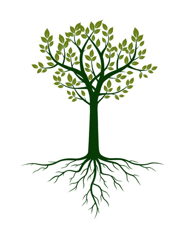 Green Tree and Roots. Vector Illustration. Plant and Garden.のイラスト素材