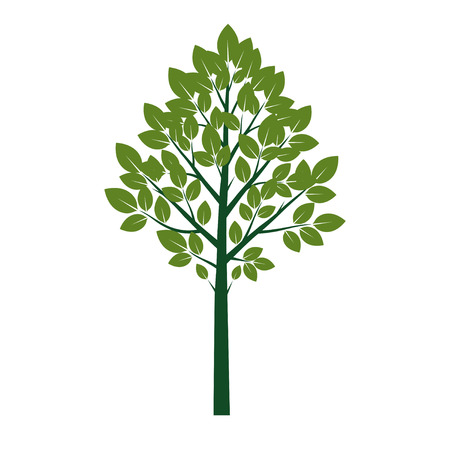 Green Tree with Leaves. Vector Illustration. Plant and Garden.のイラスト素材