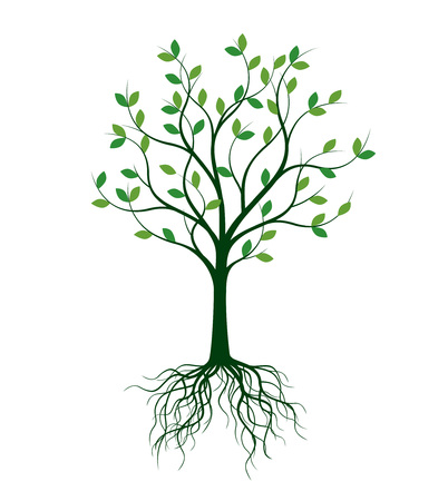 Green Tree with Leaves. Vector Illustration. Plant and Garden.のイラスト素材