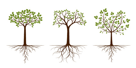 Green Trees with Leaves. Vector Illustration. Plant and Garden.のイラスト素材