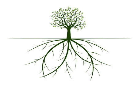 Tree with Leaves and Roots. Vector Illustration. Plant and Garden.のイラスト素材