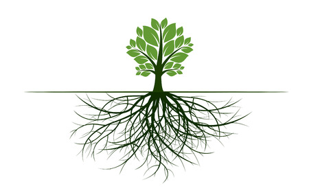 Tree with Leaves and Roots. Vector Illustration. Plant and Garden.のイラスト素材