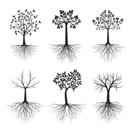 Set of Black Trees with Roots. Vector Illustration. Plant and Garden.のイラスト素材