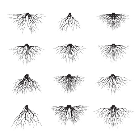Set of Black Tree Roots. Vector Illustration. Plant and Garden.のイラスト素材
