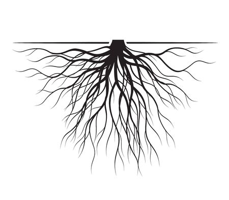 Black Tree Roots and plant element. Vector Illustration. Plant and Garden.のイラスト素材