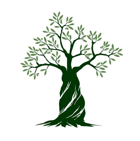 Green Isolated Olive Tree on white background. Vector Illustration and concept. Plant in garden.のイラスト素材
