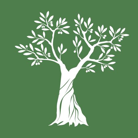 White Isolated Olive Tree on green background. Vector Illustration and concept. Plant in garden.のイラスト素材