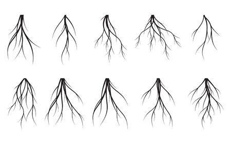 Set of white Tree Roots on black background. Vector Illustration. Plant in Garden.のイラスト素材