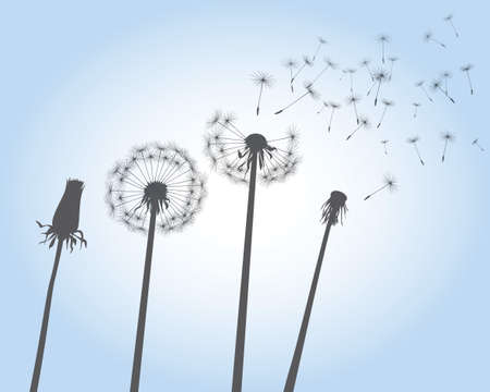 Shape of vector dandelion on blue sky. Outline illustration.のイラスト素材