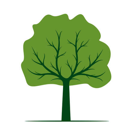 Shape of Tree with green Leaves. Vector outline Illustration. Plants in Garden.のイラスト素材