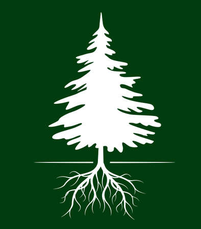 White Christmas Tree on green Background. Vector illustration and icon.のイラスト素材
