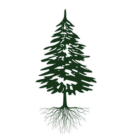 Green Christmas Tree with Roots. Vector illustration and Icon.のイラスト素材